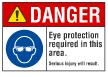 Eye Protection Required In This Area ANSI Danger Sign
