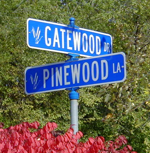 Street Sign w/Logo